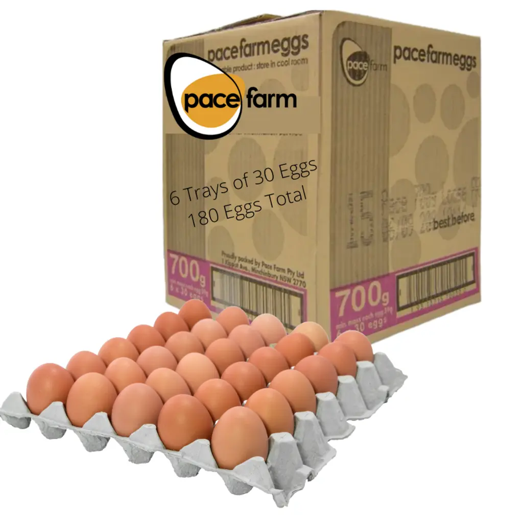 EGGS X/LARGE 700 GRAM 180/CTN