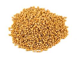 MUSTARD SEED YELLOW 1KG