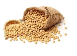 [SOYABEAN] SOY BEANS 25KG